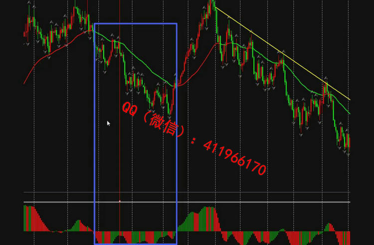 forexmanmayashizhan1